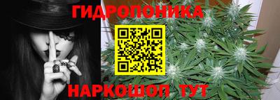 спиды Гусев
