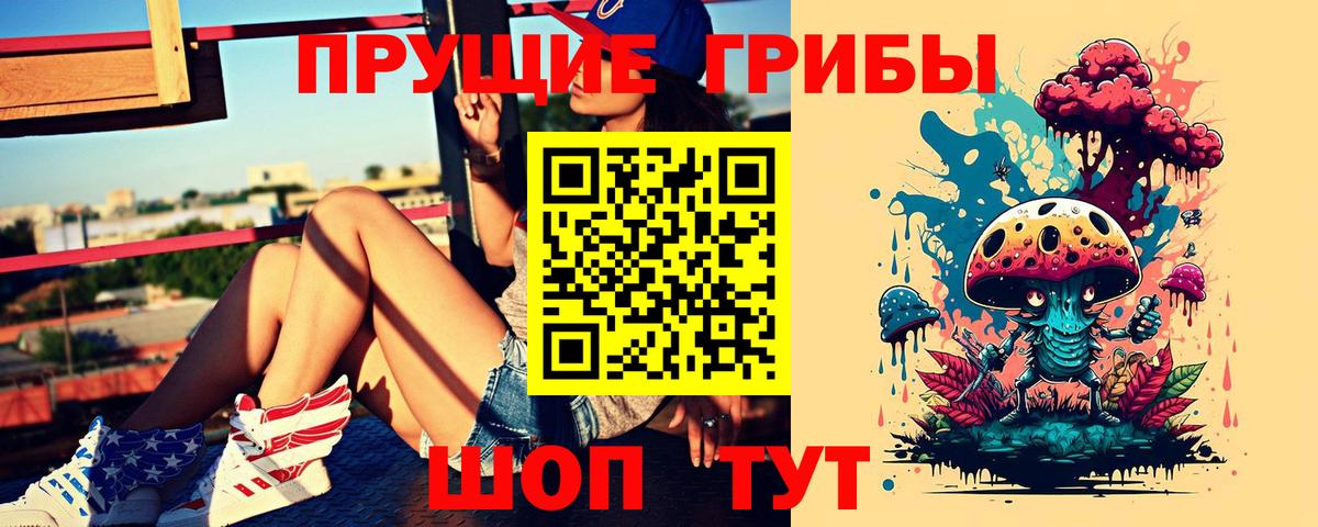 Псилоцибиновые грибы GOLDEN TEACHER Калуга