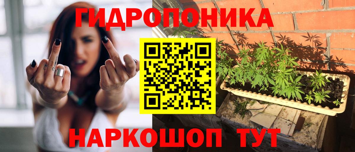 Калуга  Шишки марихуана тримм  Конопля гибрид  Вход с VPN 